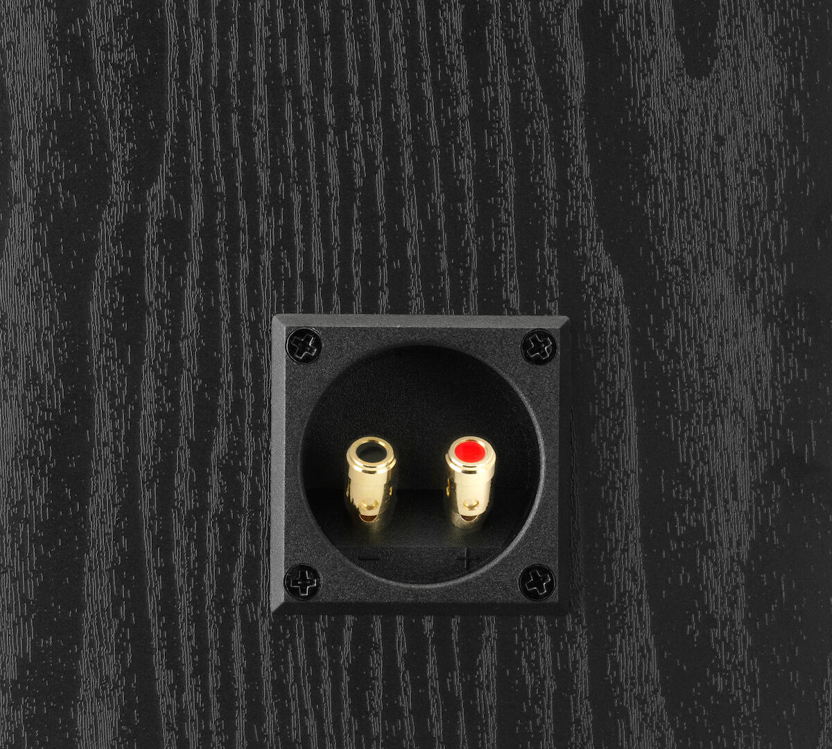 Dali ALTECO C-1 schwarz (Stückpreis)