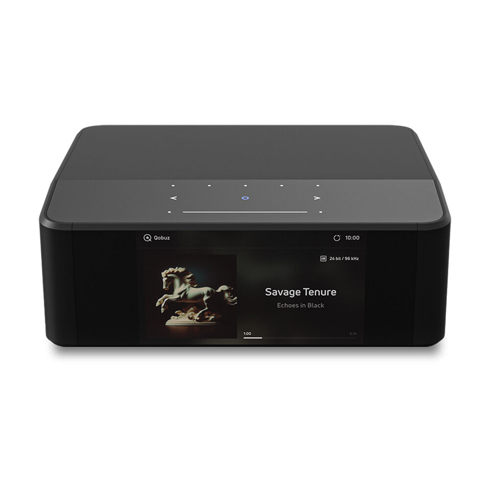 Icon1.jpg Bluesound Node Icon Musik-Streamer