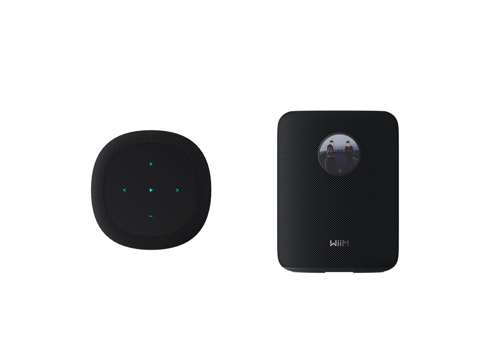 WiiM Sound Smart Speaker schwarz