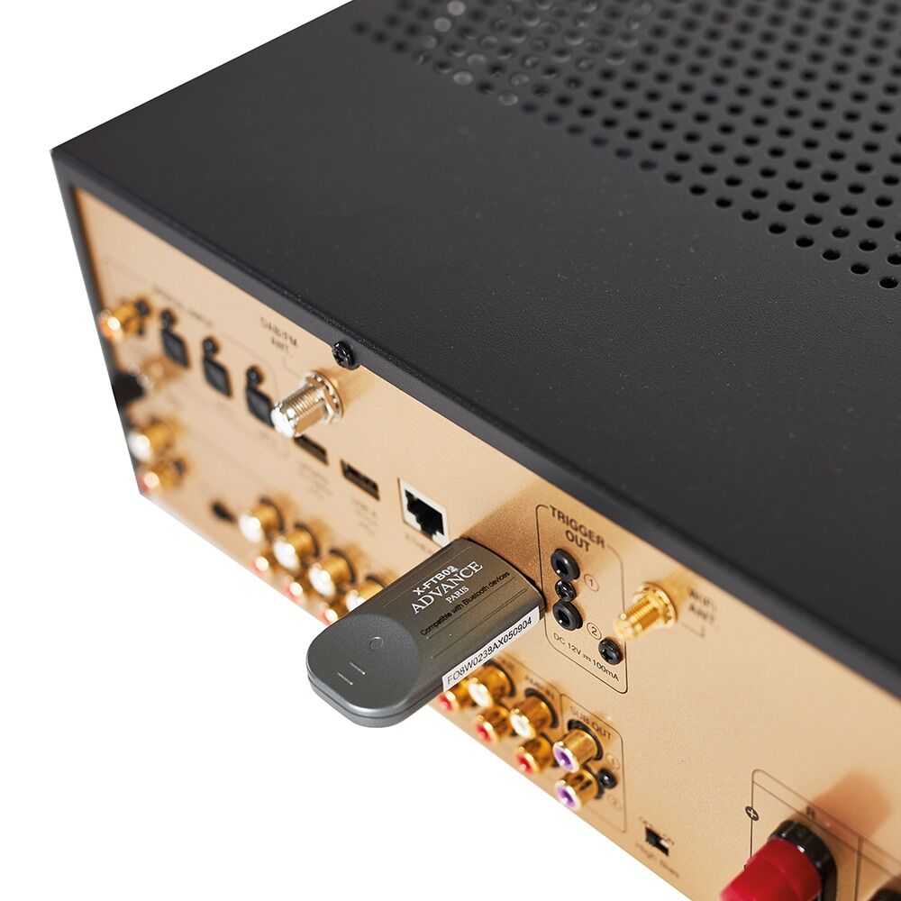 Advance Paris PlayStream A7 + Audioquest NRG X3 1 Meter
