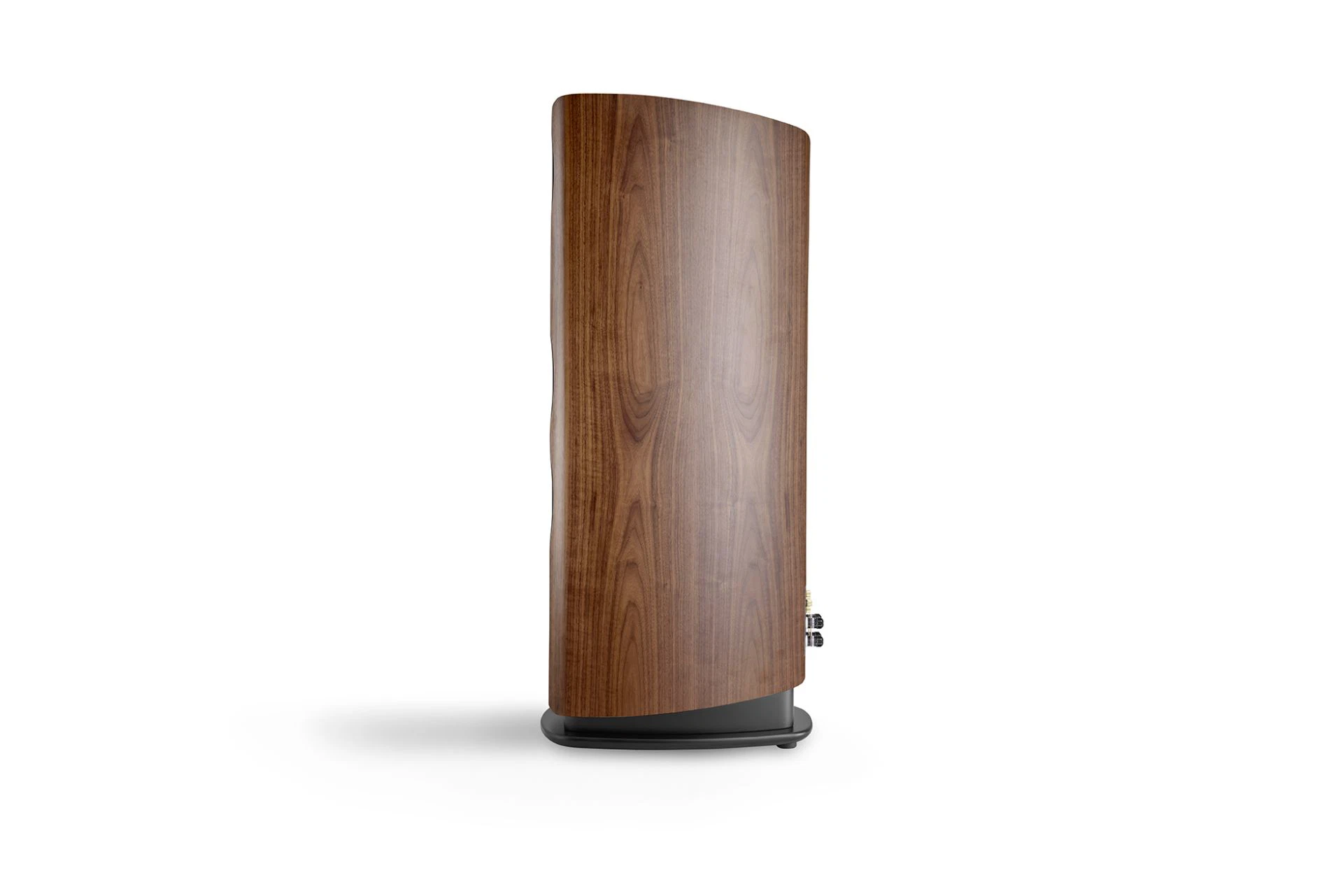 Canton Reference 3 (Stück) Nussbaum