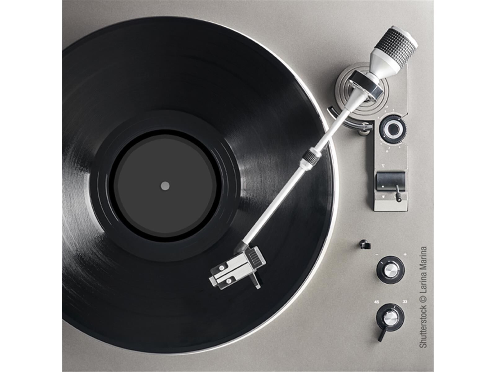 Oehlbach Phono Weight Plattengewicht
