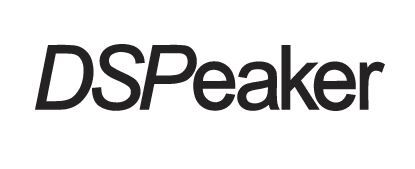 DSPeaker DSPeaker