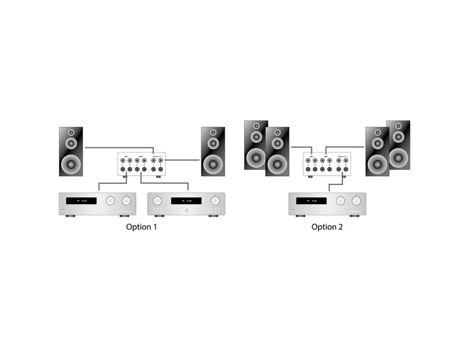 Dynavox AMP-S MKII Silber