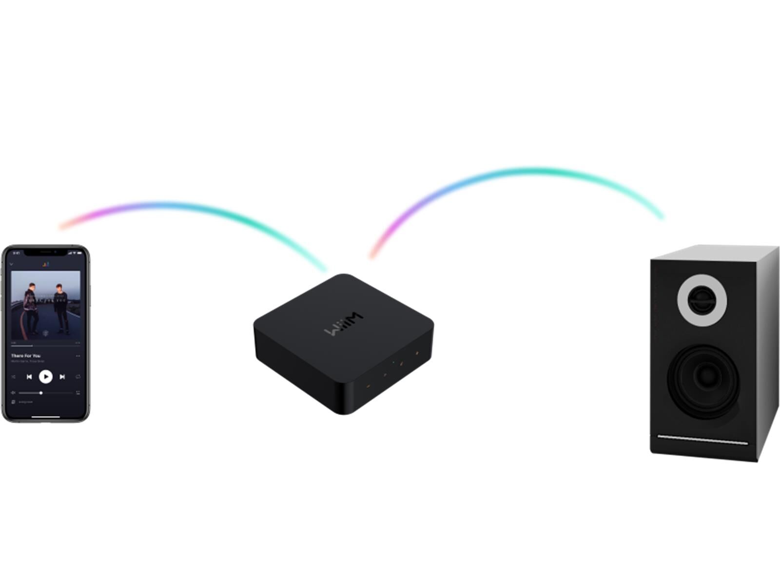 WiiM Pro High-Res-Streamer WiiM Pro High-Res-Streamer