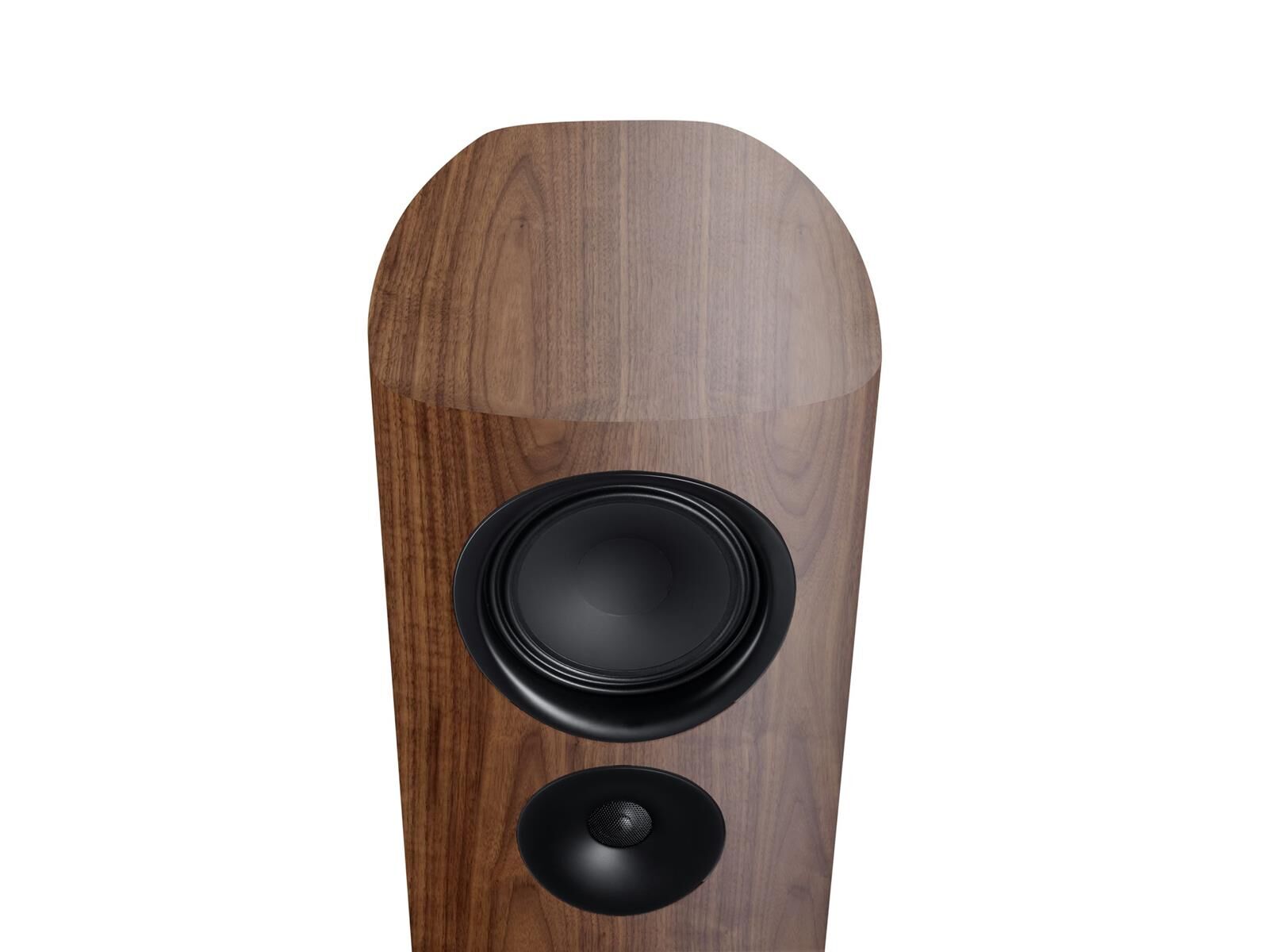 Canton Reference 5 (Stück) Nussbaum