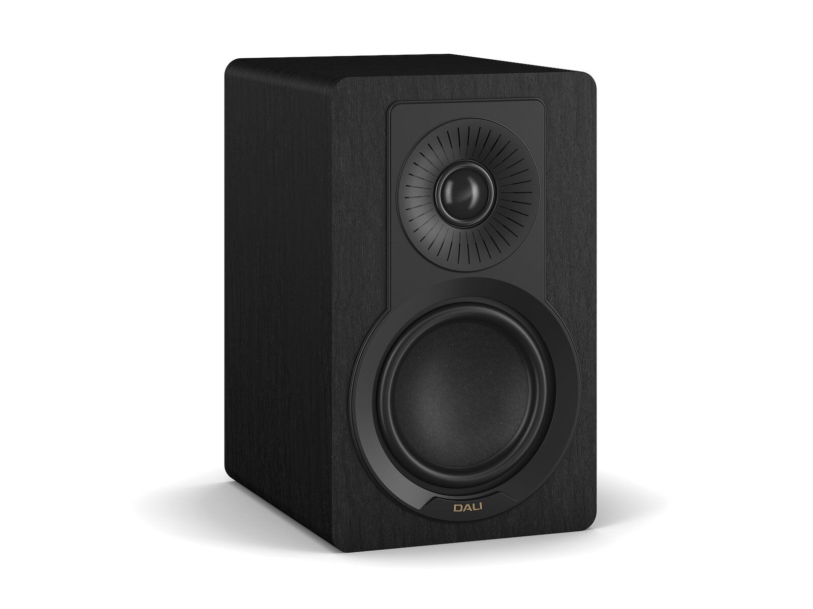 Dali Kupid (Stückpreis) Schwarze Esche