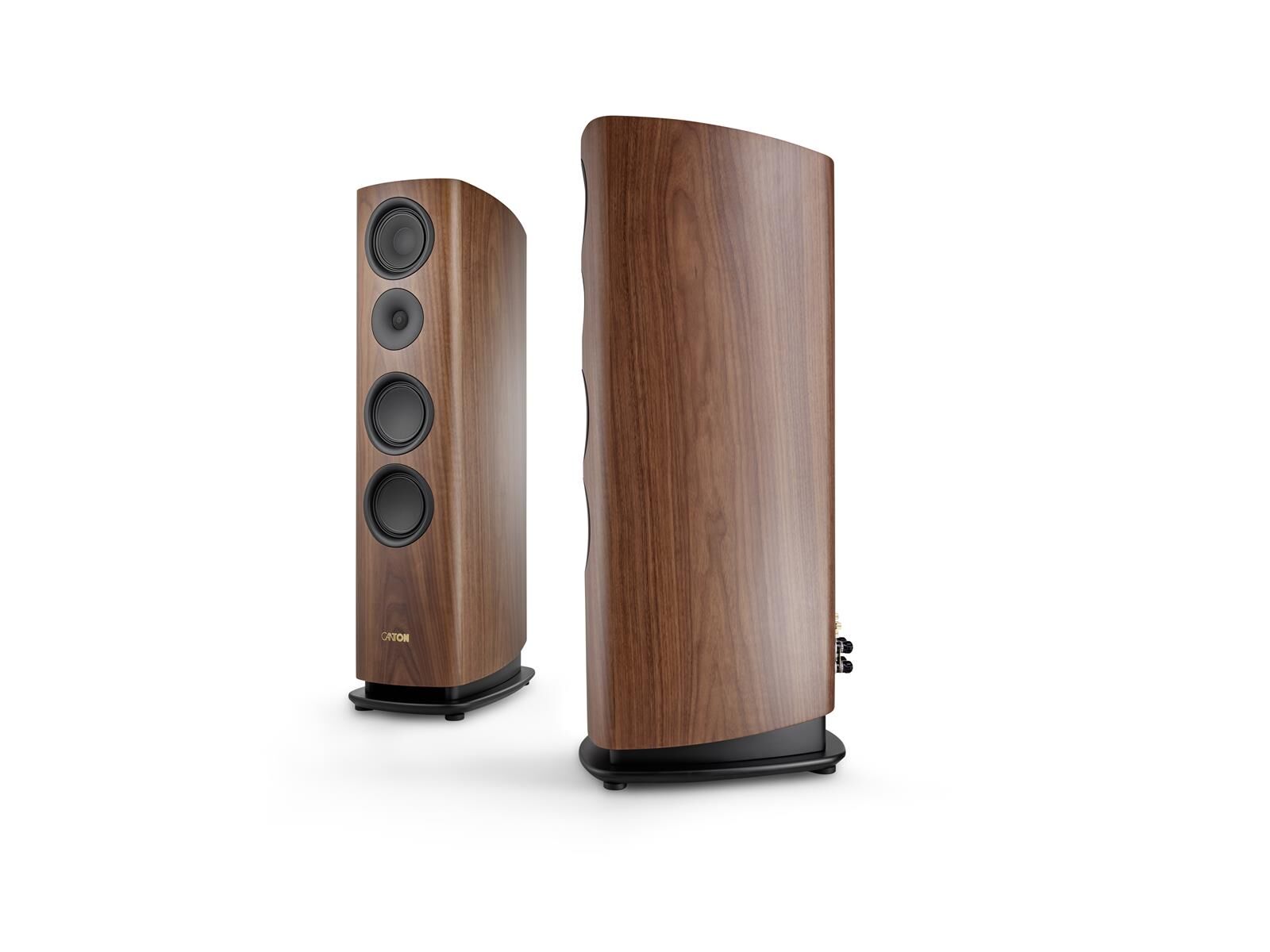 Canton Reference 7 (Stück) walnuss