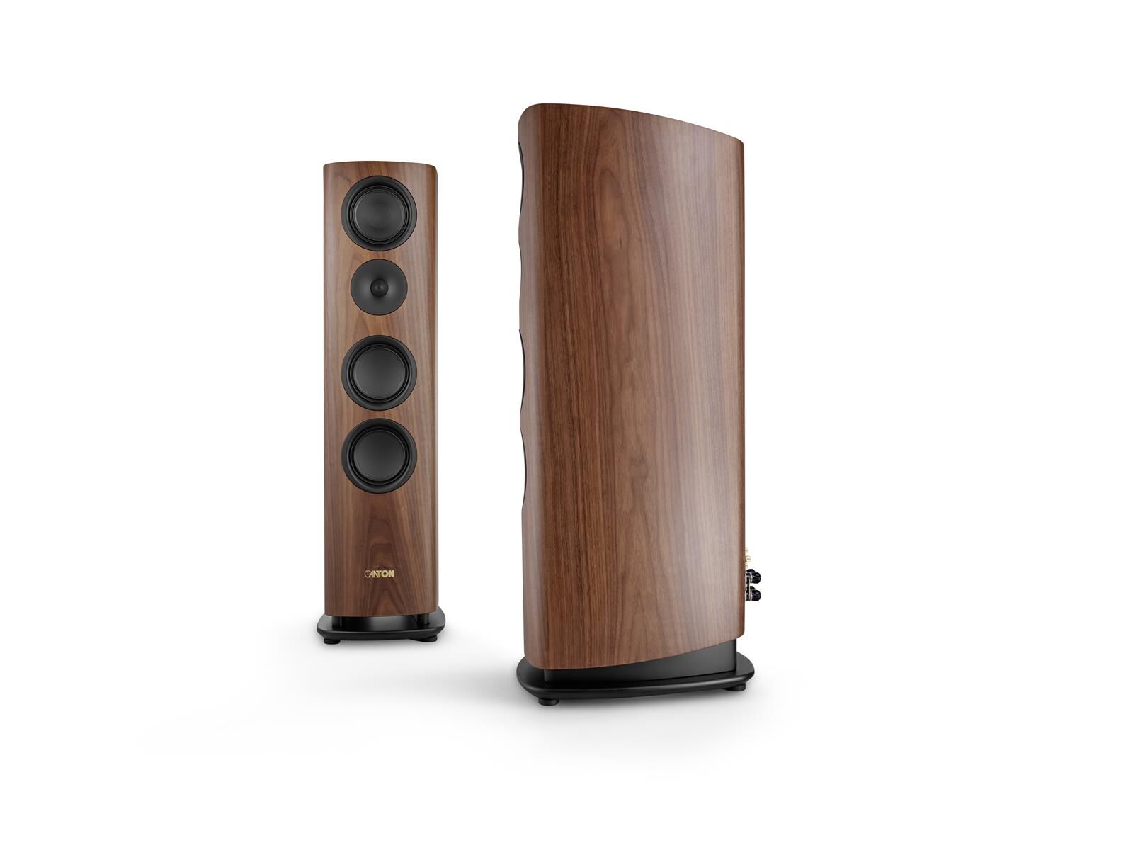 Canton Reference 7 (Stück) walnuss